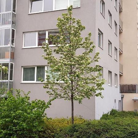 New Studio On V Doline 1 Prag Exteriör bild